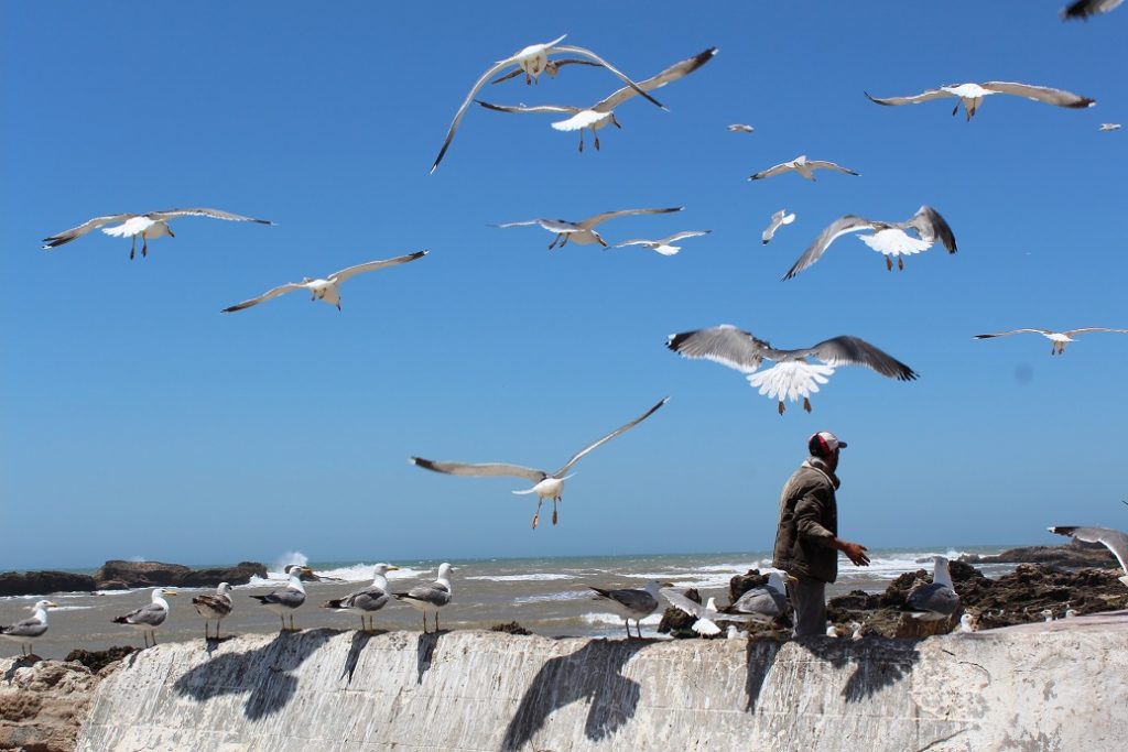 essaouira ville de pêcheur