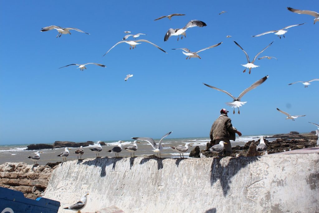 essaouira ville de pêcheur