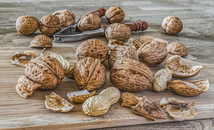 Allergies et Intolérances alimentaires aux oléagineux