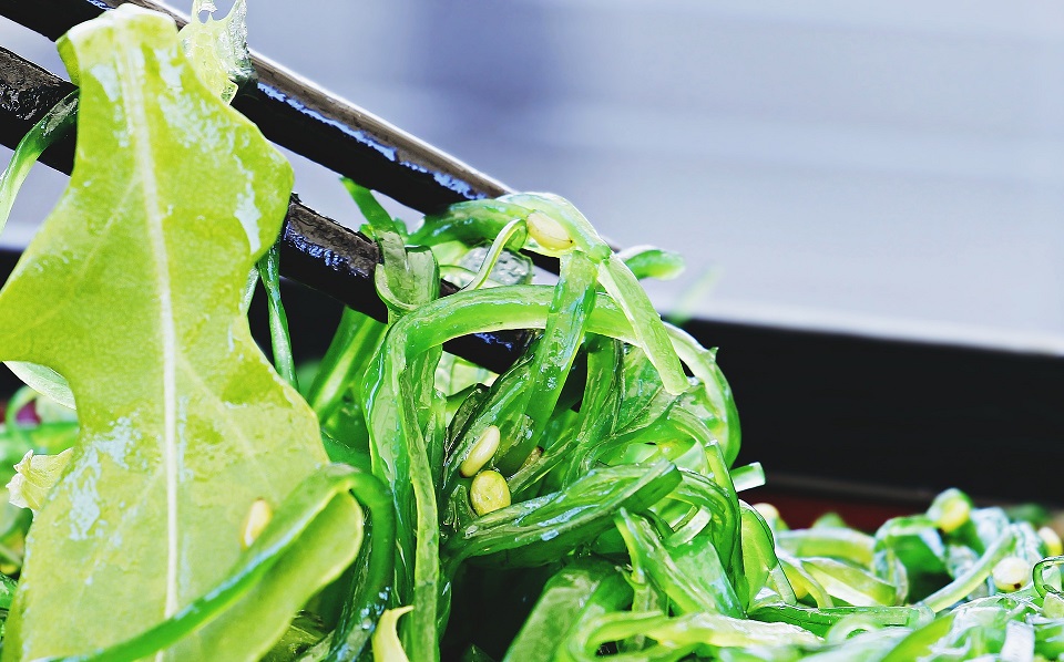les algues comestibles en salade