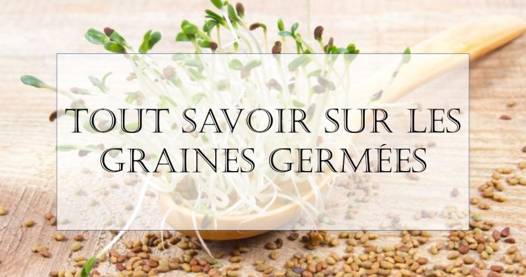 Tout savoir sur les graines germées