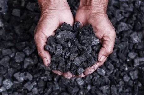 le charbon végétal actif