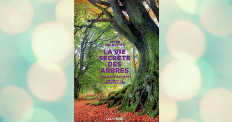 La vie secrète des arbres