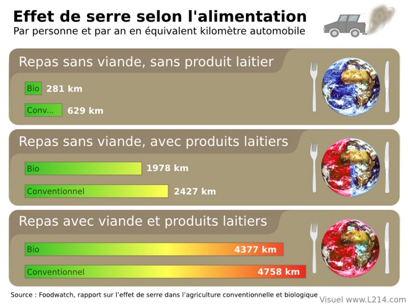 stop à l'exploitation animale