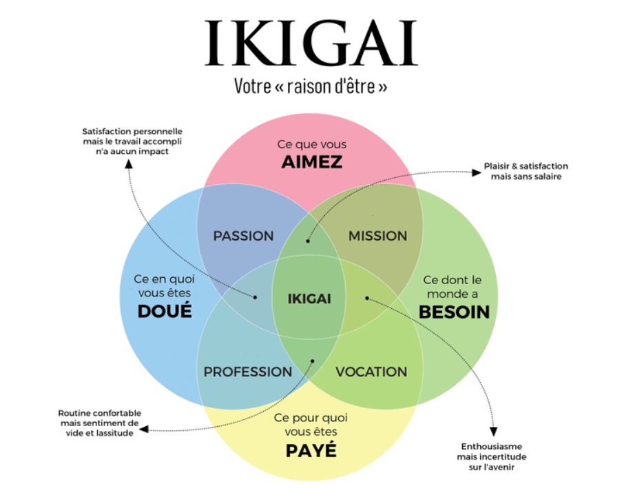 le livre de l'ikigai de Bettina Lemke