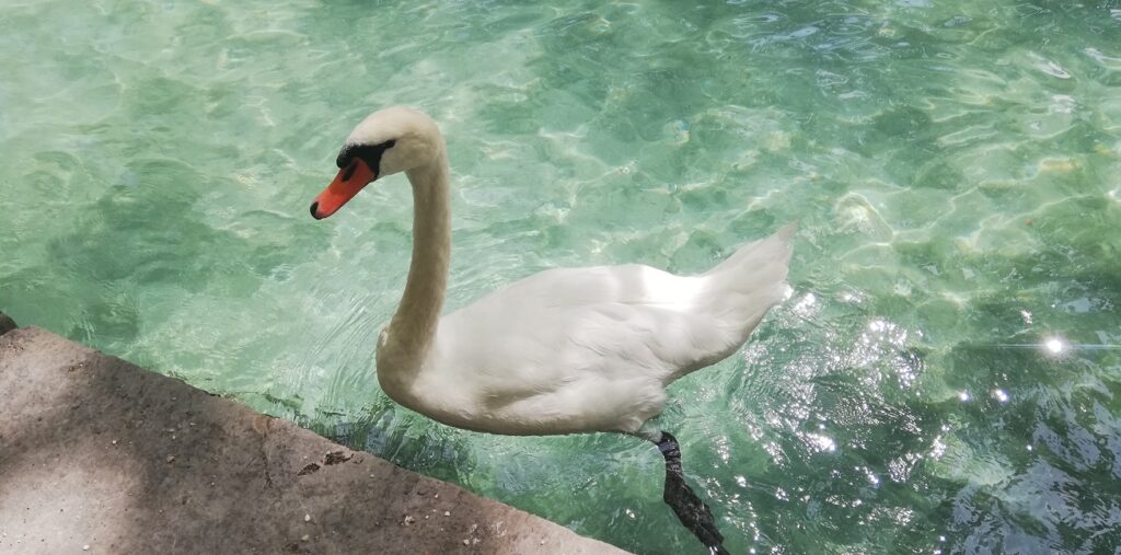 visiter Annecy à vélo